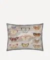 John Derian Butterfly Studies Parchment Cushion