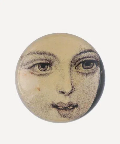John Derian Close Up Dome Paperweight