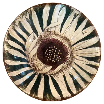 Pre-owned John Derian Domed Sunflower Paperweight By  In Sand