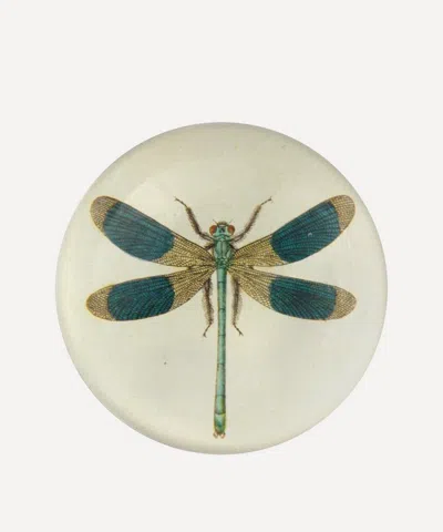 John Derian Dragonfly Dome Paperweight