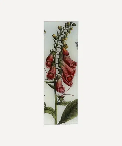 John Derian Foxglove Rectangular Tray