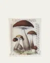 John Derian Mushroom With Lace Rectangular Tray In Multi