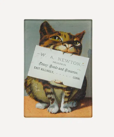 John Derian Newton Mini Tray In Animal Print