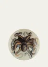 John Derian Octopus Round Dish, 11" In Multi