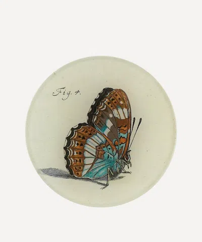 John Derian Papilionum Fig 4 Plate