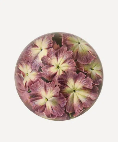 John Derian Primula Cortusoides Dome Paperweight