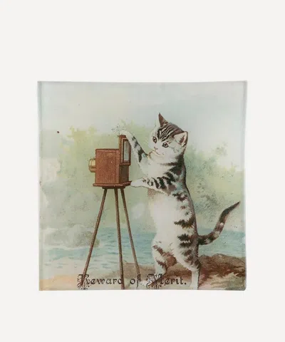 John Derian Reward Of Merit Cat Vide Poche Tray
