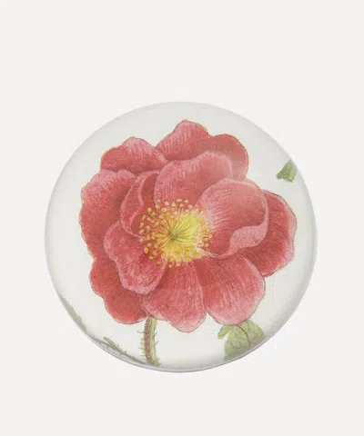 John Derian Rosa Rubra Paperweight