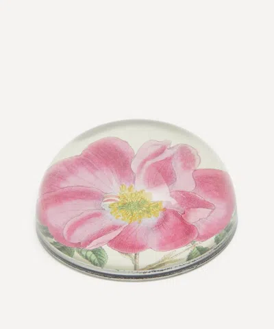 John Derian Rose Incarnata Dome Paperweight