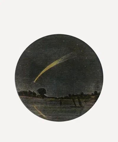John Derian Shooting Star Plate