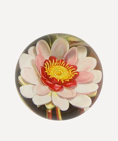 John Derian Waterlily Dome Paperweight