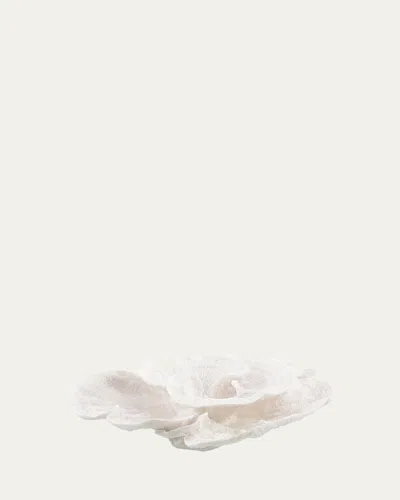 John-richard Collection Foliose Coral In White