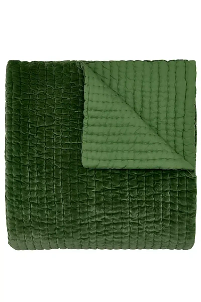 John Robshaw Textiles John Robshaw Velvet Coverlet In Green