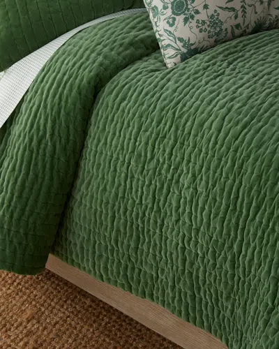 John Robshaw Velvet Moss King Coverlet In Green