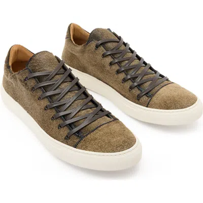 John Varvatos 315 Reed Genuine Calf Hair Low Top Sneaker In Gold