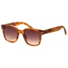 John Varvatos Men's Sunglasses In Brown