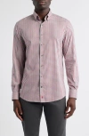 Johnnie-o Kirtland Check Stretch Button-down Shirt In Pink