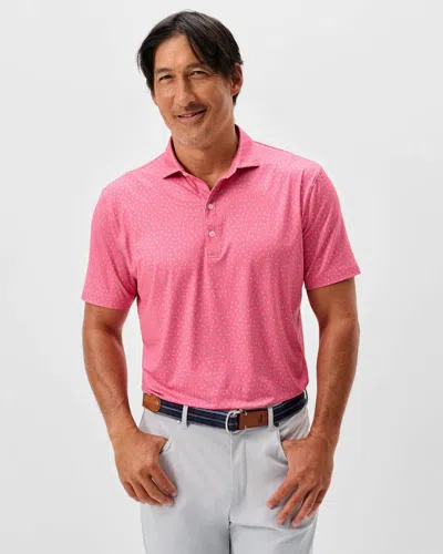 Johnnie-o Tini Dancer Polo In Pink Lemonade