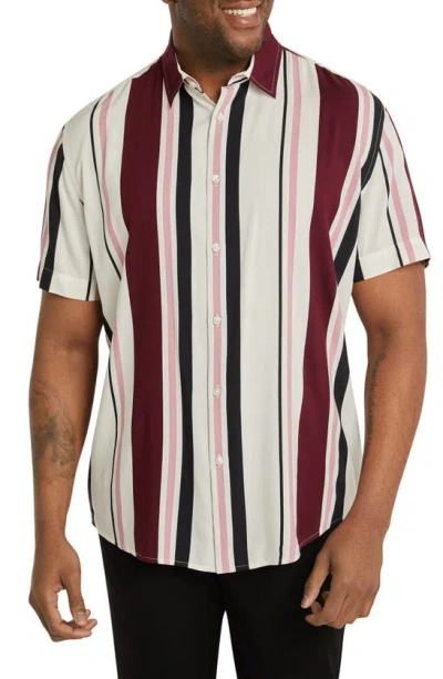Johnny Bigg Paloma Stripe Short Sleeve Button-up Shirt In Pink