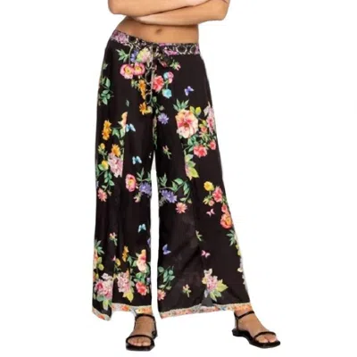 Johnny Was Butterfly Wrap Pant In Black