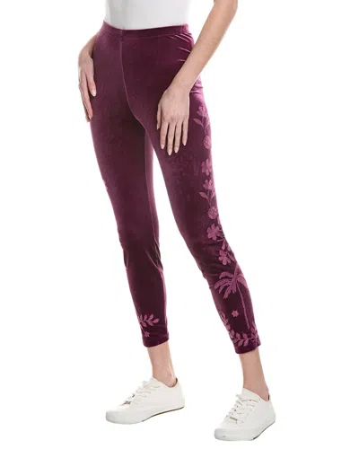 Johnny Was Cassia Velvet Legging In Purple