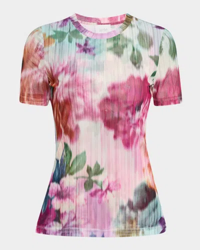 Johnny Was Eleanor Crewneck Floral-print Mesh Tee In Brown