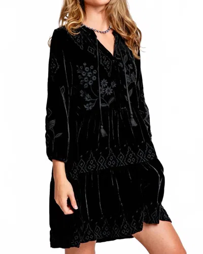 Johnny Was Ivey Velvet Field Tiered Embroidery In Black
