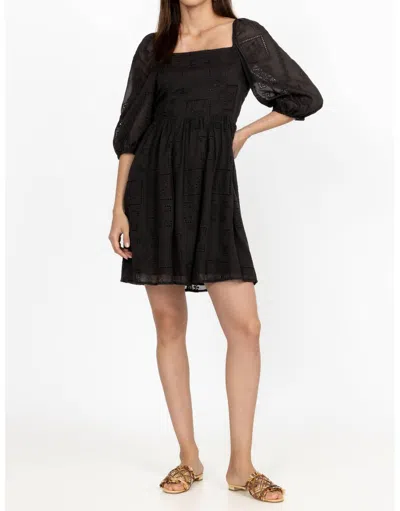 Johnny Was Love Ella Eyelet Embroidered Mini Dress In Black