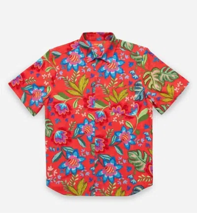 Johnny Was Men's Coverup Shirt In Rumba In Multi