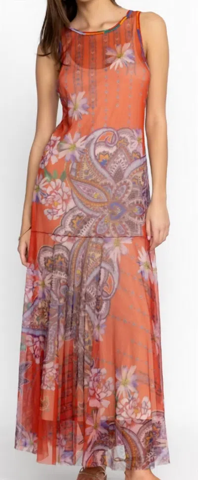 Johnny Was Paisley Mesh Dress In Multi