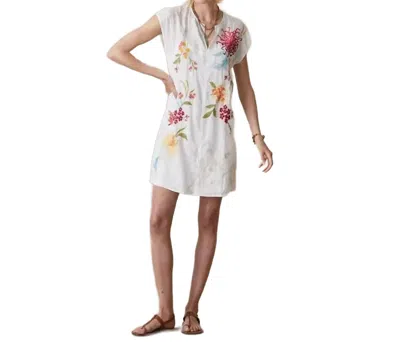 Johnny Was Playa Malory Dress With Slip In Dahlia Stripe In Multi