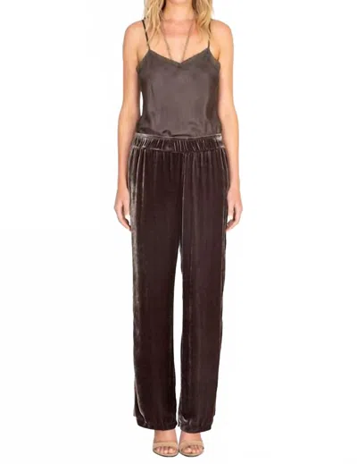 Johnny Was Ravi Wide Leg Velvet Pant In Graphite In Pink