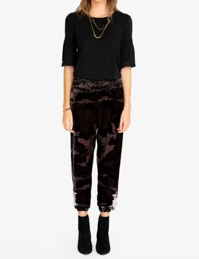 Johnny Was Santal Velvet Jogger Pants In Moonlight Camo In Brown