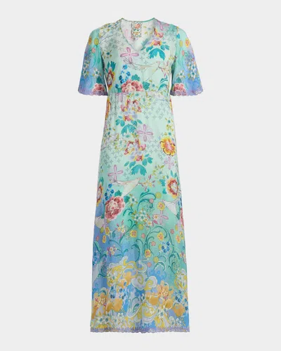 Johnny Was Tami Printed Maxi Dress In Altair Sca