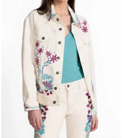 Johnny Was The Classic Denim Jacket Leilana In Cream