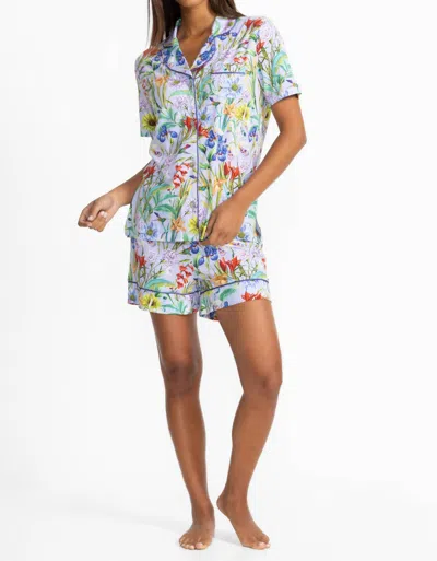 Johnny Was The Short Pajama Set In Daphne In Multi