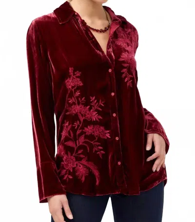 Johnny Was Velvet Vintage Button Down Shirt In Cran-ruby Red