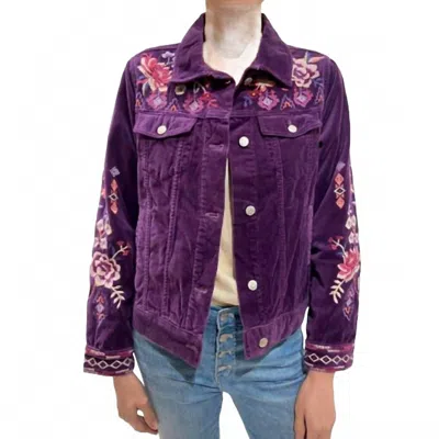 Johnny Was Women's Curacao Cotton Velvet Trucker Jacket In Grape Royal In Purple