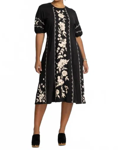 Johnny Was Women's Seamed Knit Dress Camille Plus In Black In Multi