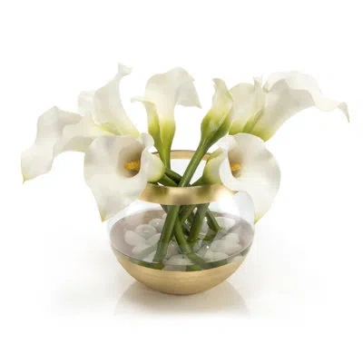 John-richard Callas Flowering Branch In Pot