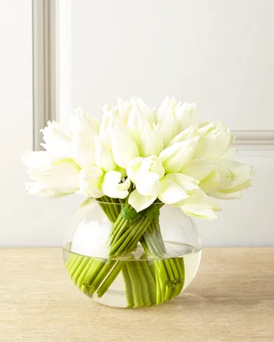 John-richard Collection Angelique Tulips In White