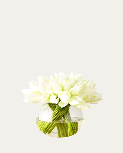 John-richard Collection Angelique Tulips In White