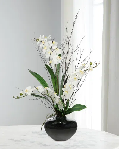 John-richard Collection Black Bamboo & Orchids 45" Faux Floral Arrangement
