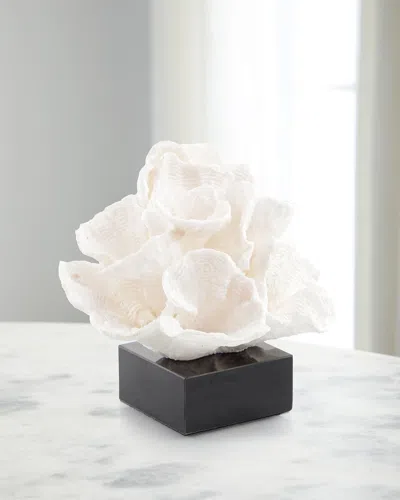 John-richard Collection Foliose Coral On Black Marble Base In Multi