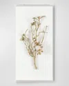 John-richard Collection Gold Calcite I Wall Accent In White