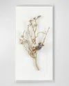John-richard Collection Gold Calcite Ii Wall Accent In White