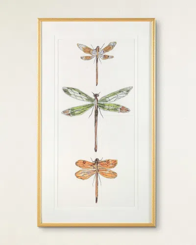 John-richard Collection Joyful Dragonflies Ii Giclee Wall Art By Joy Colangelo In Gold