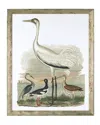 John-richard Collection Large Heron Family Ii Art Print In Multi
