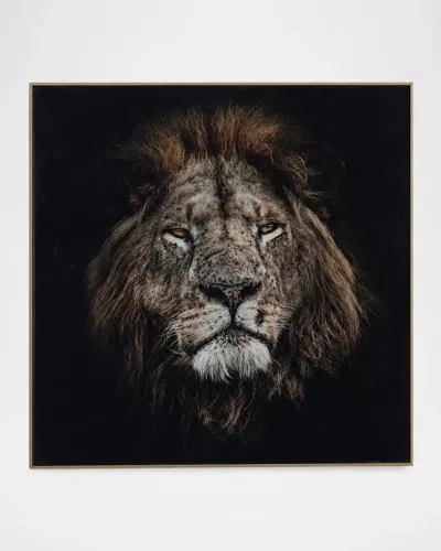 John-richard Collection Mufasa Framed Photo Print By Rodney Bursiel In Black