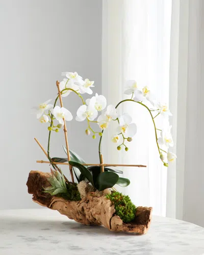 John-richard Collection Organic Woody Orchids Arrangement In Multi